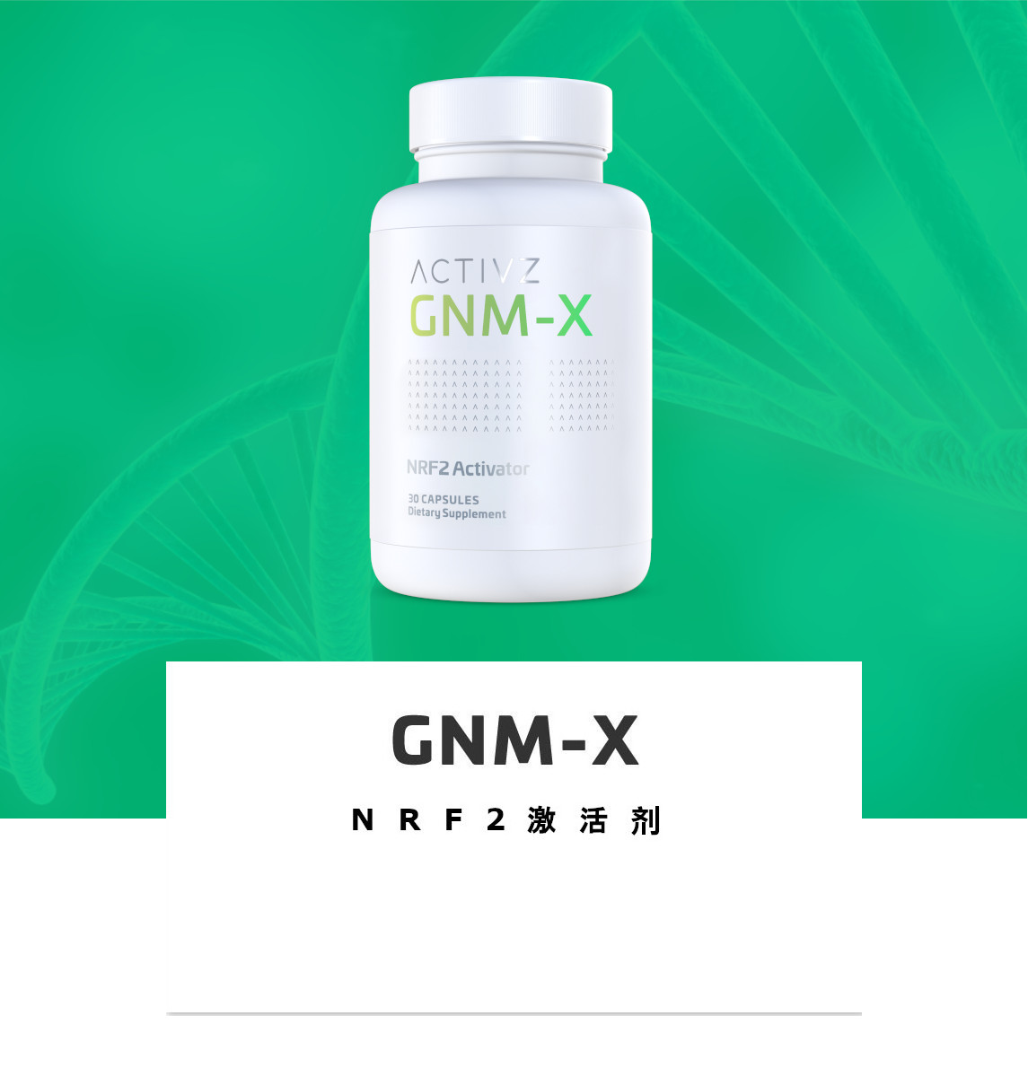 gnmx